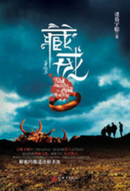 探索古老文明的悬疑探险：《藏戒》