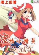 宠物小精灵之冠军